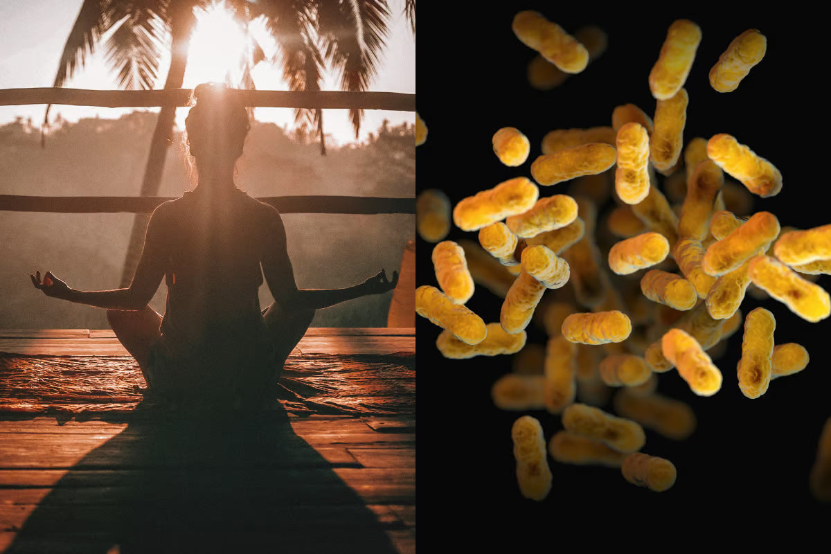Gut Health Isn’t a Trend